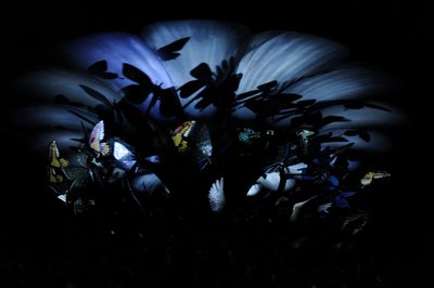 Der Garten der unirdischen Freuden von Mat Collishaw