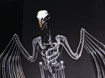 Das Nervenrack, 2019 von Mat Collishaw