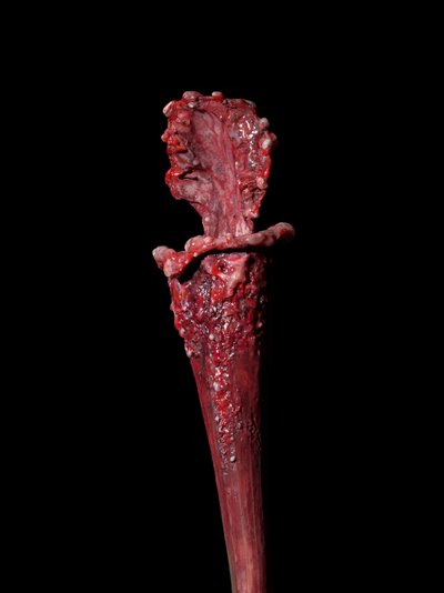 Die käufliche Muse, Fenside, 2012 von Mat Collishaw