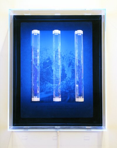UV-Garten, Fee, Sonnenbad, Elfen usw. von Mat Collishaw