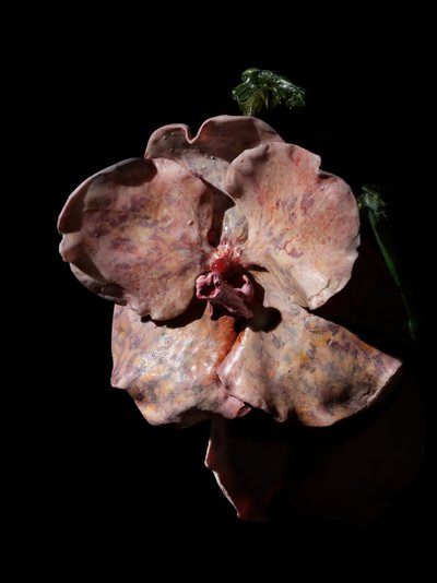 Venale Muse, Impetus, 2012 von Mat Collishaw