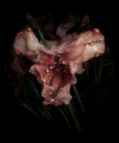 Venale Muse, Viridor, 2012 von Mat Collishaw