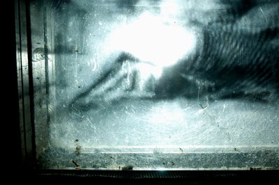 Wurmfarm, 2009 von Mat Collishaw
