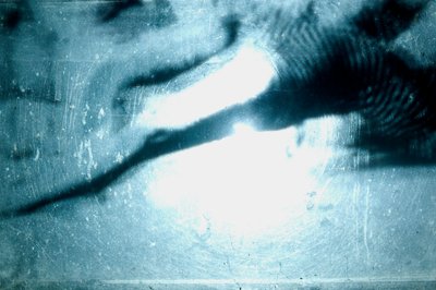 Wurmfarm, 2009 von Mat Collishaw