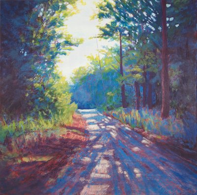Sonnige Landstraße von Matt Dominger