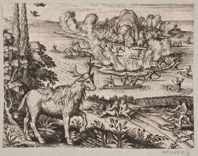 Hier kann ich nicht umhin, an das äußerst wunderbare Wesen zu denken, das die Eingeborenen Mosse nennen von Matthäus Merian d.Æ.