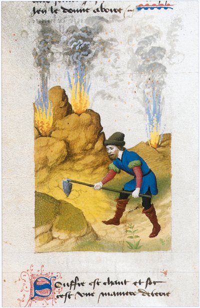 Le Livre des simples medecines - Übersetzung ins Französische aus dem lateinischen Manuskript des 12. Jahrhunderts von Matthaeus Platearius von Matthaeus Platearius