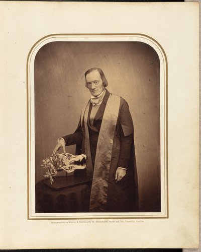 Professor Owen, F.R.S. von Maull and Polyblank