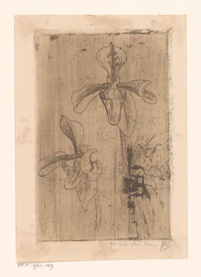 Zwei Orchideen und ein Wagen am Strand von Maurits van der Valk (signed by artist)