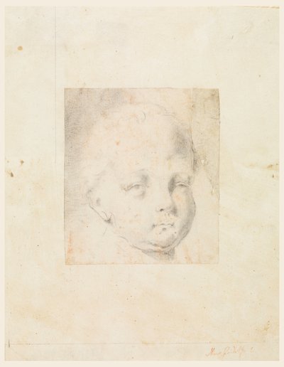Zeichnung, Studie: Kopf eines Jungen, 1810–34 von Mauro Gandolfi