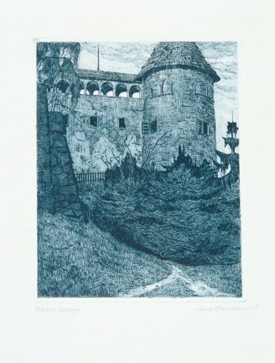 Schloss Hallegg von Max Bradaczek