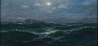 Dampfer auf hoher See von Max Jensen