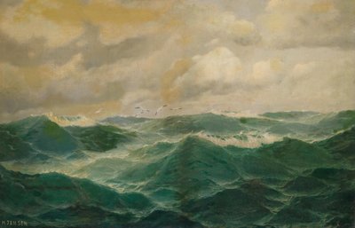 Möwen über stürmischer See von Max Jensen