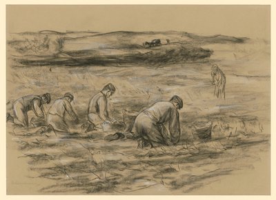 Kartoffelbuddler in Zandvoort von Max Liebermann