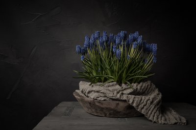 Rustikale blaue Blumen von Mayra Pama