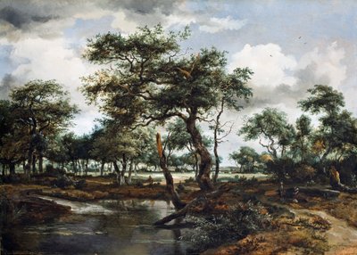 Ein Teich im Wald, 1668 von Meindert Hobbema
