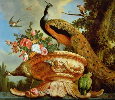 Ein Pfau auf einer dekorativen Urne von Melchior de Hondecoeter