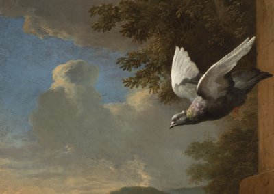 Detail aus Menagerie, ca. 1680 von Melchior de Hondecoeter