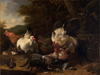 Kämpfende Hähne von Melchior de Hondecoeter