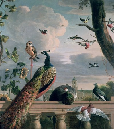 Palast von Amsterdam mit exotischen Vögeln von Melchior de Hondecoeter