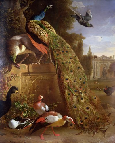 Pfau und Pfauhenne auf einem Sockel, mit Enten und anderen Vögeln in einem Park von Melchior de Hondecoeter