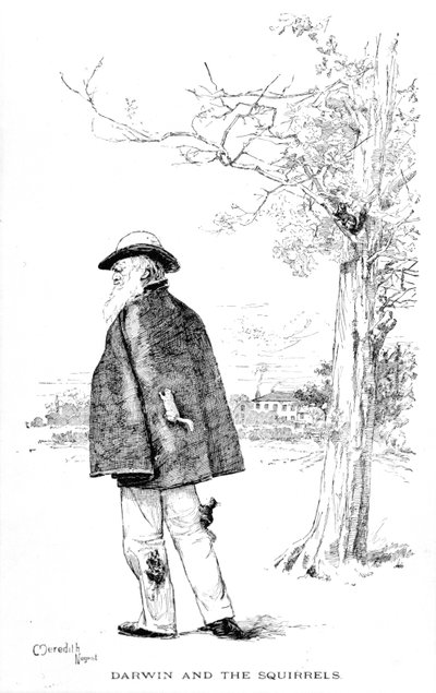 Darwin und die Eichhörnchen, Illustration aus Charles Darwin, Sein Leben und Werk von Charles Frederick Holder, 1899 von Meredith Nugent
