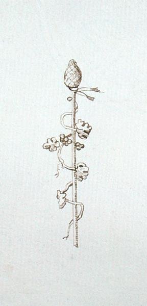 Zeichnung aus Michael Faradays Sammelalbum von Michael Faraday