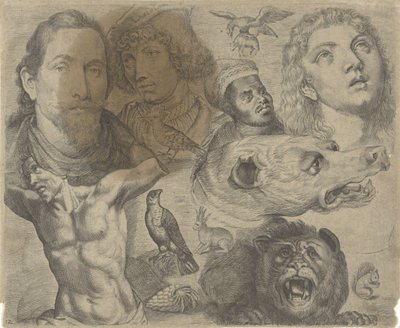 Studienblatt mit Zeichenbeispielen: Köpfe, Torso und Tiere von Michael Snijders