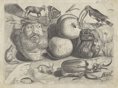 Studienblatt mit Zeichenbeispielen: Porträts, Tiere, Insekten von Michael Snijders