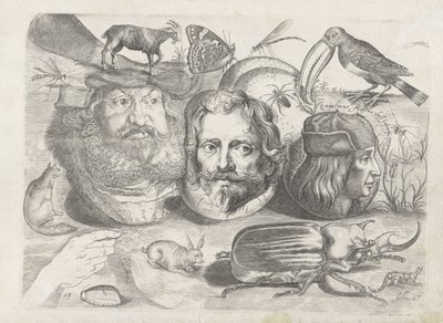 Studienblatt mit Zeichenbeispielen: Porträts, Tiere, Insekten von Michael Snijders