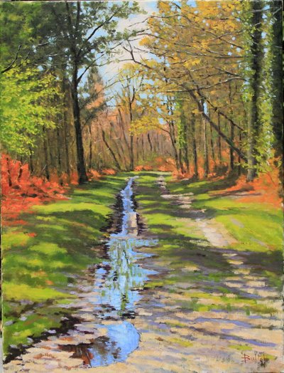 Pfad zum Öl-Farn von Michel Bultet