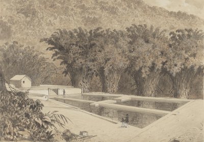 Das Reservoir in Maraval von Michel Jean Cazabon