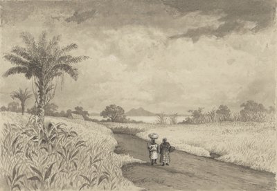 Der Weg zum Pitch Lake von Michel Jean Cazabon