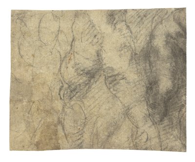 Männlicher Akt von hinten gesehen von Michelangelo Buonarroti