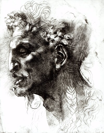 Kopf eines Satyrs von Michelangelo Buonarroti