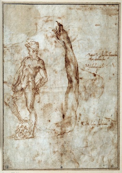 Aktstudie. Michelangelo Buonarroti genannt Michelangelo (Michelangelo oder Michel Ange) von Michelangelo Buonarroti