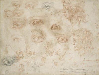 Studien von zwei Köpfen, ca. 1525 von Michelangelo Buonarroti