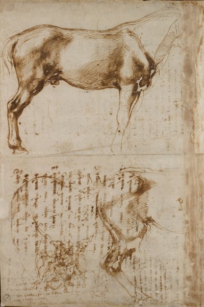 Studien eines Pferdes und eines Reiters, der Fußsoldaten angreift, frühes 16. Jahrhundert von Michelangelo Buonarroti