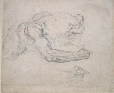 Studie eines Mannes, der vom Boden aufsteht von Michelangelo Buonarroti