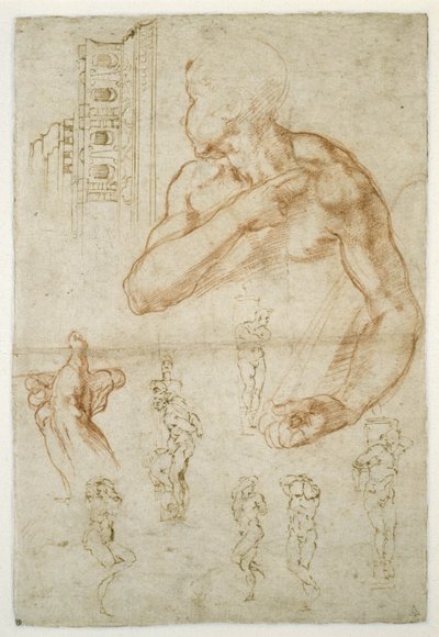 Studie der helfenden Figur der Libyschen Sibylle, ca. 1512 von Michelangelo Buonarroti