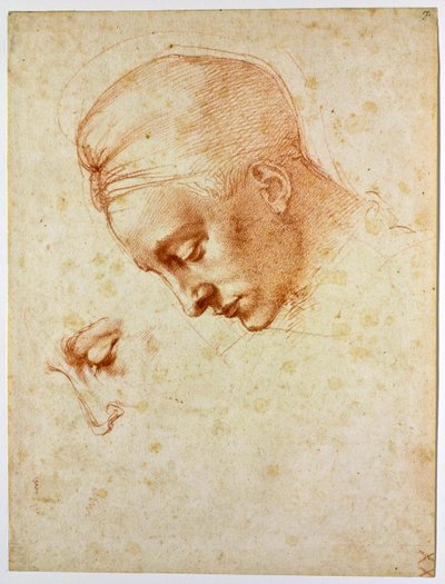 Studie zum Kopf der Leda von Michelangelo Buonarroti