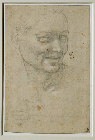 Kopf und rechte Hand des Ignudo über und links von Jesaja, an der Decke der Sixtinischen Kapelle von Michelangelo Buonarroti