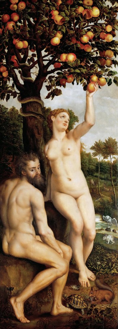 Der Sündenfall von Michiel I Coxie or Coxcie