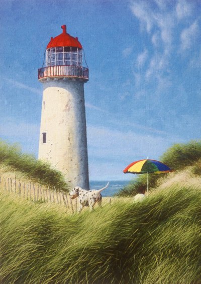 Tag in den Dünen von Mike Briscoe