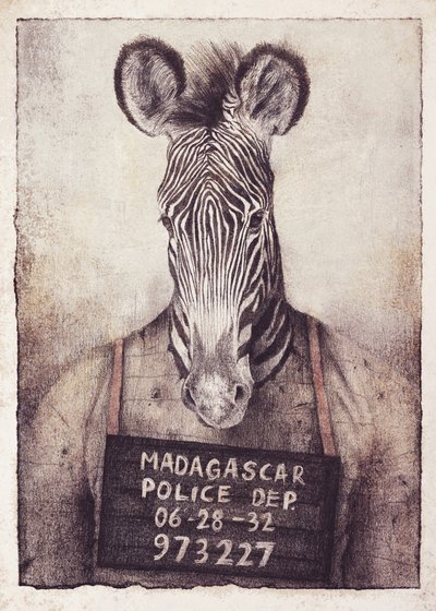Zebra-Fahndungsfoto-Mysterium von Mike Koubou