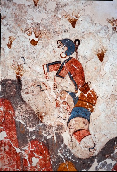Minoische Zivilisation: Frauen, die Safran pflücken. Detail eines Freskos aus dem Lustralbecken von Xeste 3 in Akrotiri (Thera), Santorini. Dim. 244x266 cm. 16. Jahrhundert v. Chr. Santorini, Sammlung von Fresken von Akrotiri a Thera von Minoan