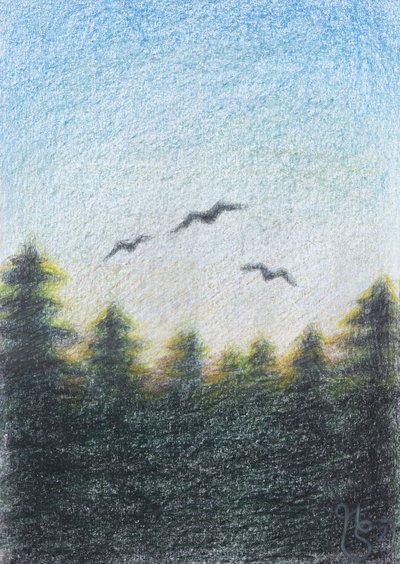 Gelassener Waldflug von Mirjam Schrei