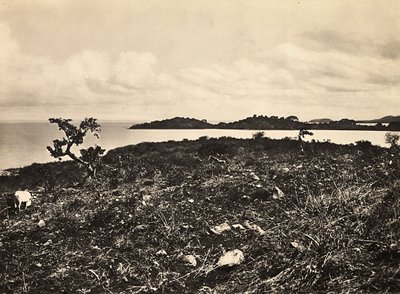 „Ein Imperium aufbauen“ im faschistischen Zeitalter: Tana-See, Äthiopien, 09/05/1936 von Modestino Baldinetti