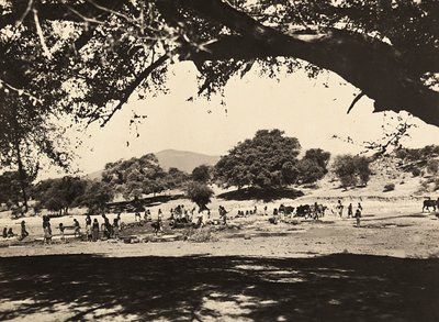 „Ein Imperium aufbauen“ im faschistischen Zeitalter: Brunnen in der unteren Ebene, 09/05/1936 von Modestino Baldinetti