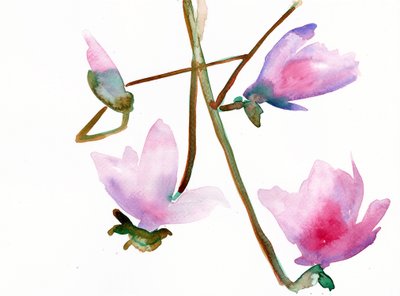 Magnolie 1, 2022 von Monica Perez Vega